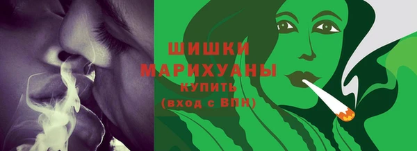 индика Беломорск