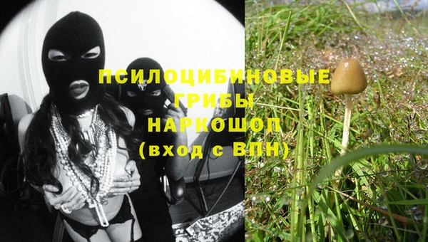 стаф Белокуриха