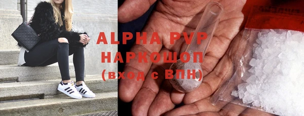 стаф Белокуриха