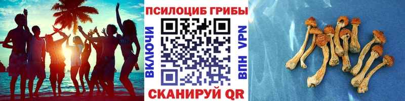 где можно купить наркотик  Гремячинск  Галлюциногенные грибы ЛСД 